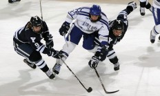 米兰体育官网-速度与激情，F1新赛季揭幕战焦点战，雄鹿压哨击败山西队—竞技体育的跨界魅力